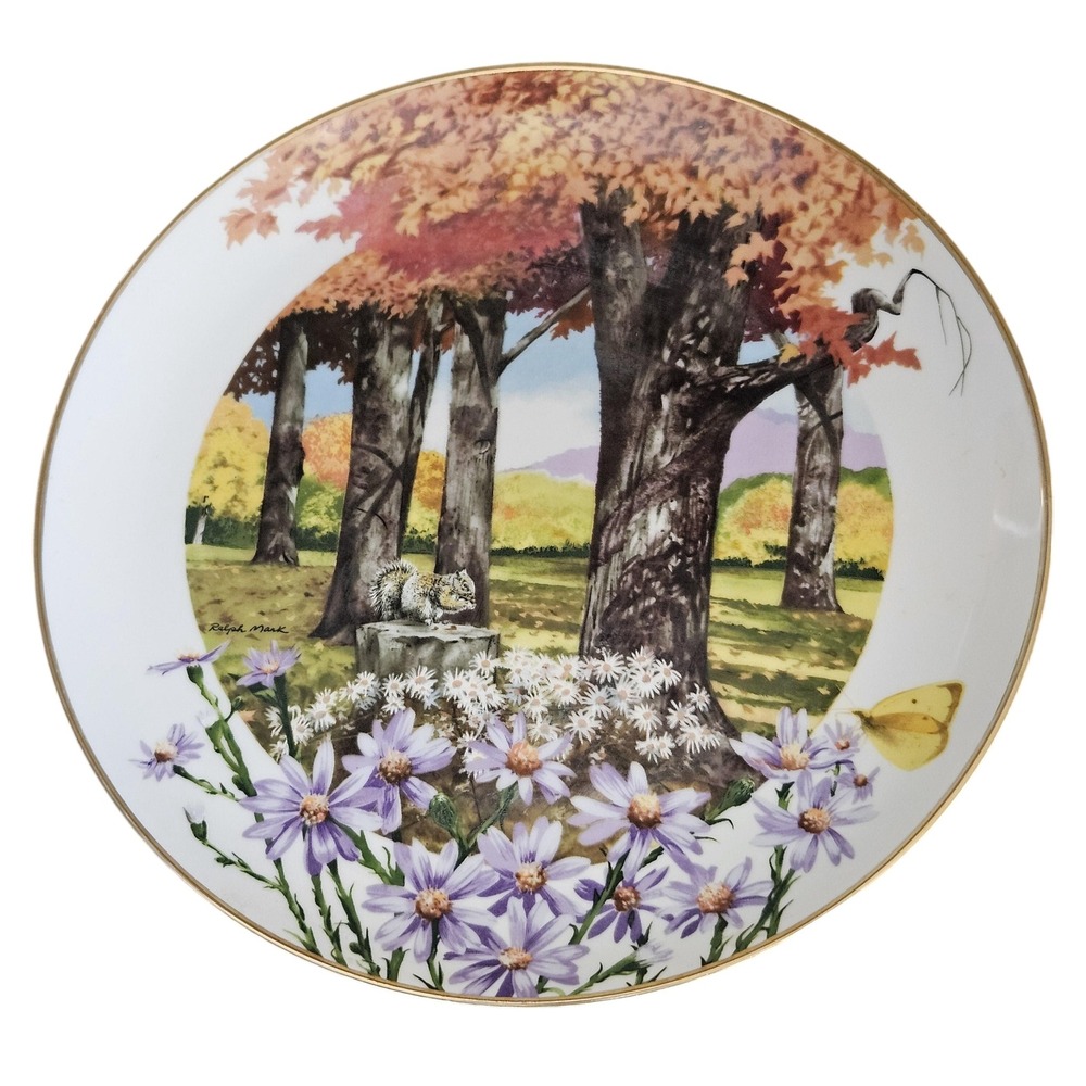 VTG Decorative Plate Royal Windsor Frost Aster Wildflowers  the South Gold Trim‎